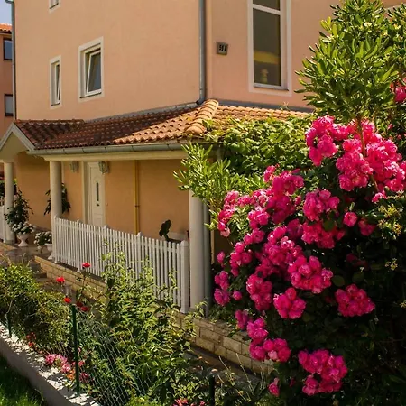 Simic Apartment *